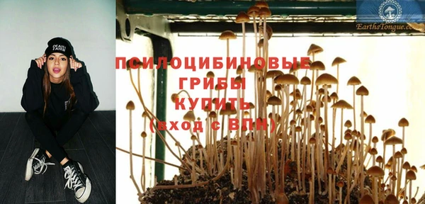 бошки Беломорск