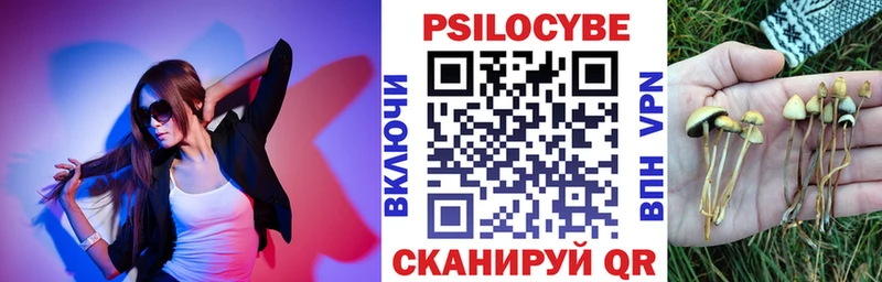 Галлюциногенные грибы ЛСД  Купино 